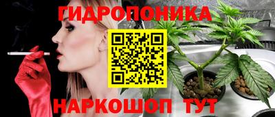 гидропоника Апрелевка