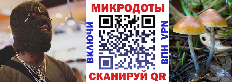 купить сайты Южноуральск kraken сайт Галлюциногенные грибы прущие грибы