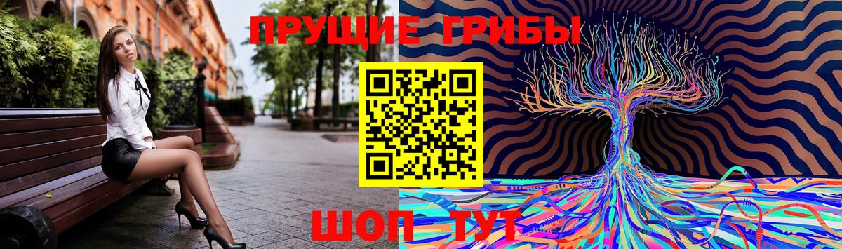 Южноуральск  Галлюциногенные грибы MAGIC MUSHROOMS  Вход с VPN 