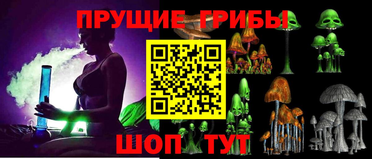 Галлюциногенные грибы Psilocybe  Южноуральск  Галлюциногенные грибы Psilocybine cubensis 